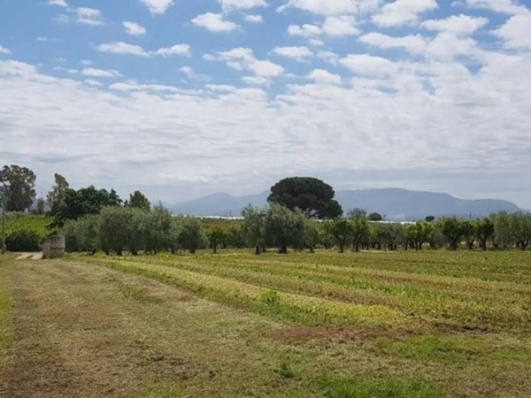 terreno agricolo in vendita ad Eboli
