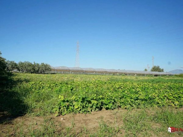 terreno agricolo in vendita ad Eboli in zona Boscariello