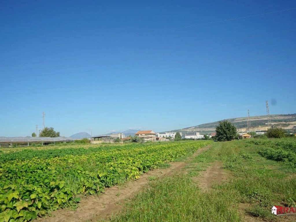 terreno agricolo in vendita ad Eboli in zona Boscariello