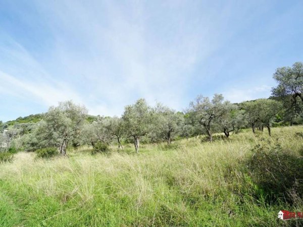 terreno agricolo in vendita ad Eboli