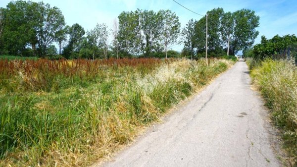 terreno agricolo in vendita ad Eboli in zona Campolongo