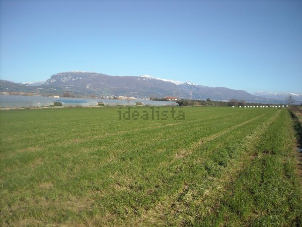 terreno agricolo in vendita ad Eboli