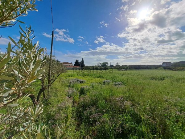 terreno agricolo in vendita ad Eboli