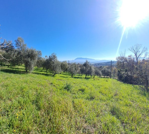 terreno agricolo in vendita ad Eboli