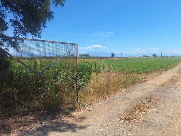 terreno agricolo in vendita ad Eboli
