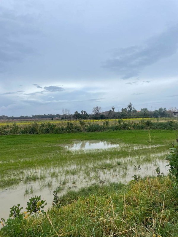 terreno agricolo in vendita ad Eboli