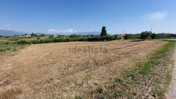 terreno agricolo in vendita ad Eboli