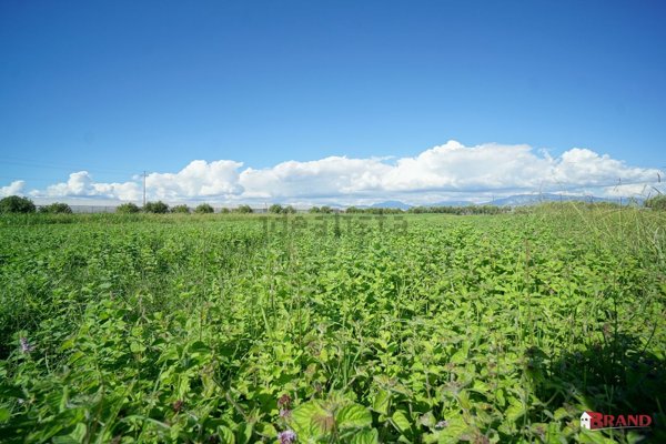 terreno agricolo in vendita ad Eboli in zona Campolongo