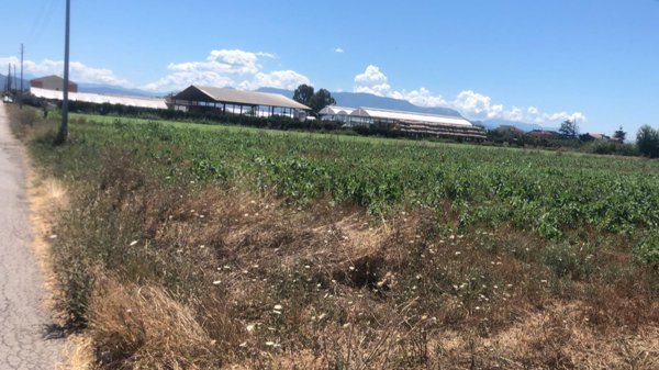 terreno agricolo in vendita ad Eboli in zona Prato