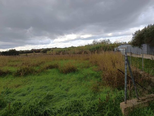 terreno agricolo in vendita ad Eboli