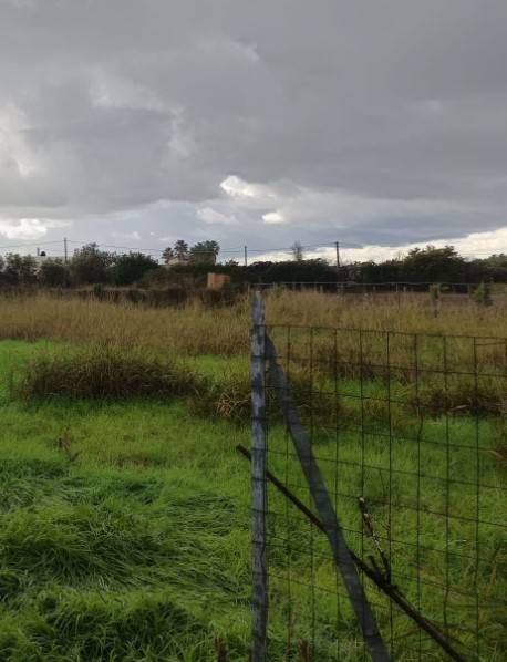 terreno agricolo in vendita ad Eboli
