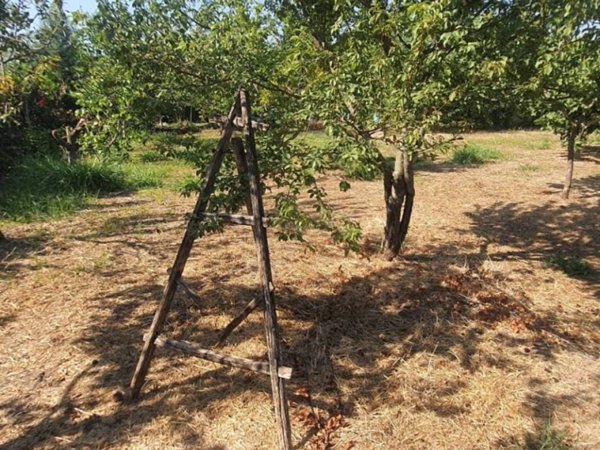 terreno agricolo in vendita ad Eboli in zona Boscariello