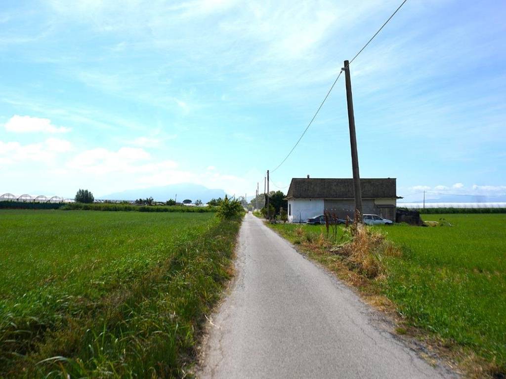 terreno agricolo in vendita ad Eboli in zona Campolongo