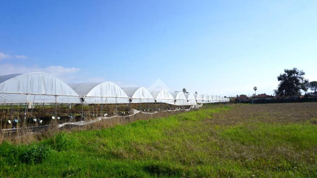 terreno agricolo in vendita ad Eboli in zona Campolongo