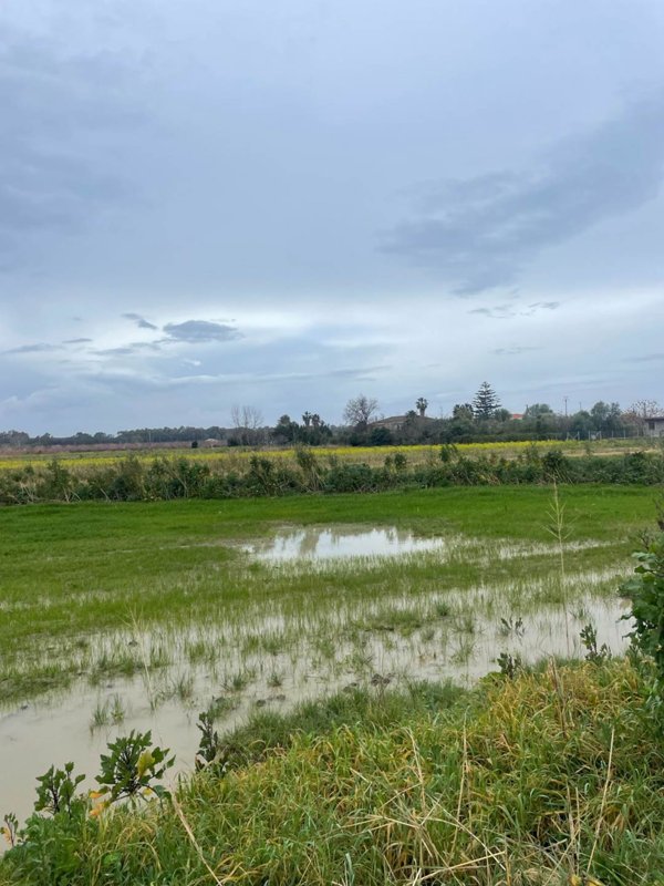terreno agricolo in vendita ad Eboli