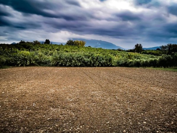 terreno agricolo in vendita ad Eboli