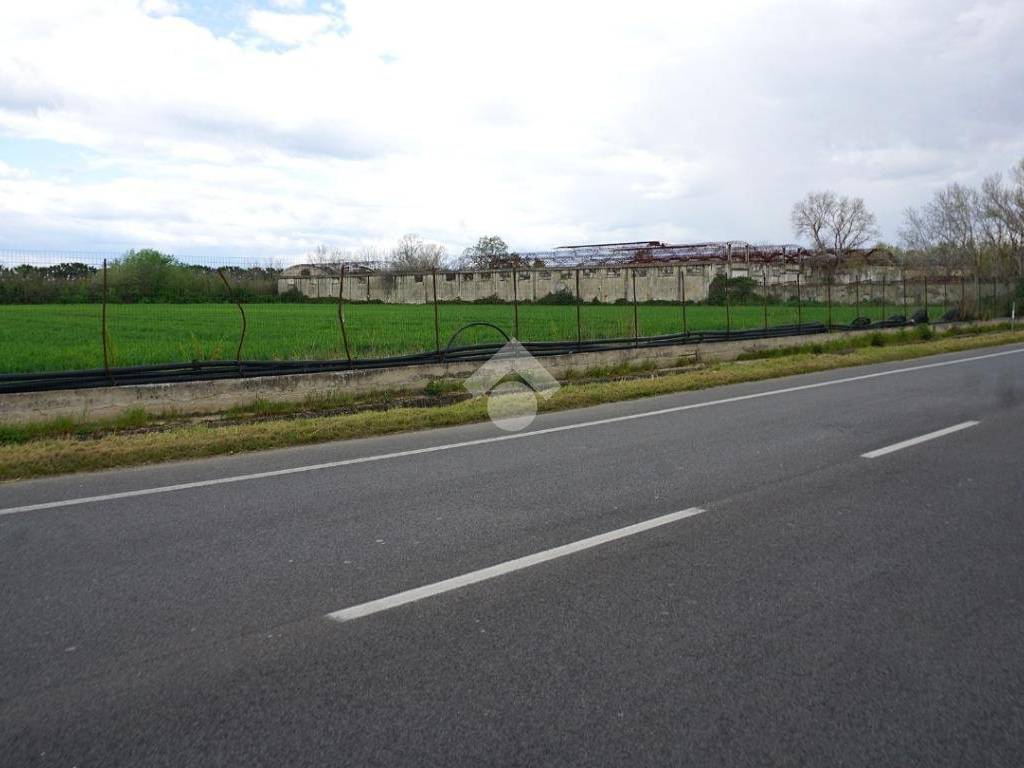 terreno agricolo in vendita ad Eboli