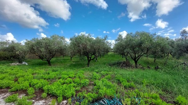 casa indipendente in vendita ad Eboli