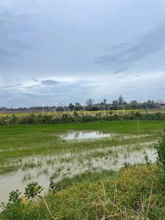 terreno agricolo in vendita ad Eboli