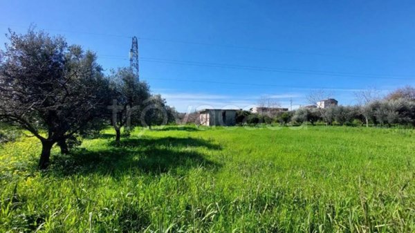 terreno agricolo in vendita ad Eboli