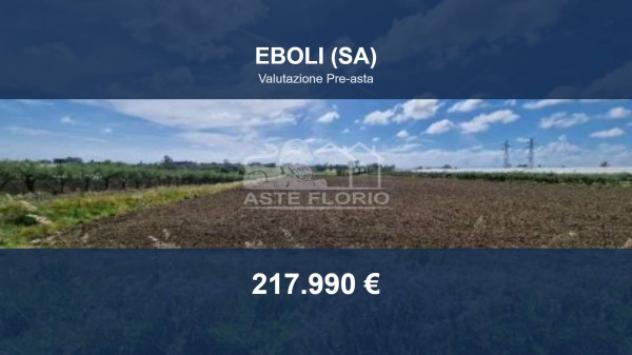 terreno agricolo in vendita ad Eboli