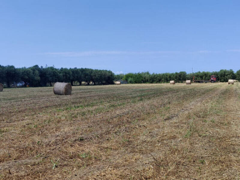 terreno edificabile in vendita ad Eboli