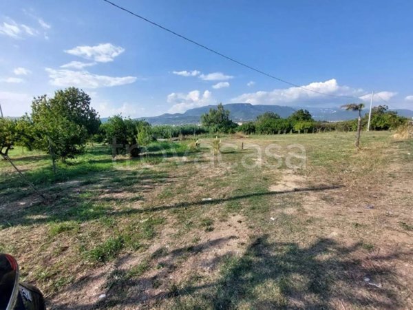 terreno agricolo in vendita ad Eboli