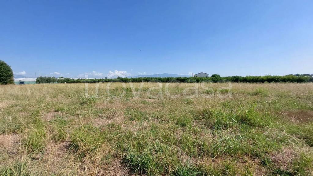terreno agricolo in vendita ad Eboli
