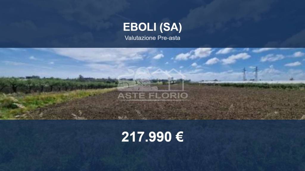 terreno agricolo in vendita ad Eboli