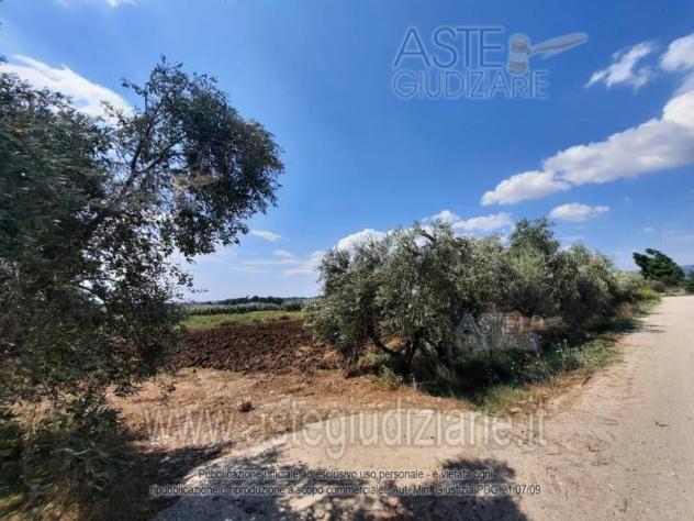 terreno agricolo in vendita ad Eboli