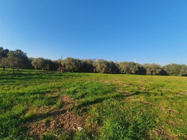 terreno agricolo in vendita ad Eboli in zona Sant'Andrea