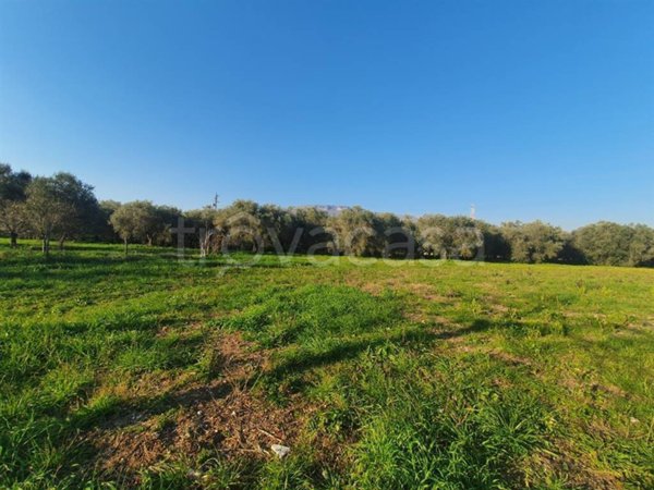 terreno agricolo in vendita ad Eboli in zona Sant'Andrea