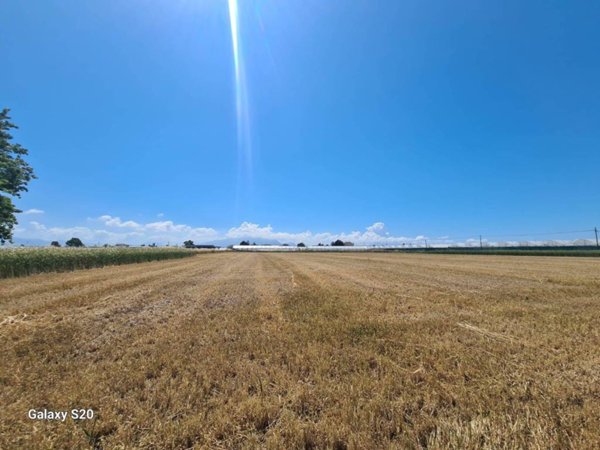 terreno agricolo in vendita ad Eboli in zona Cioffi