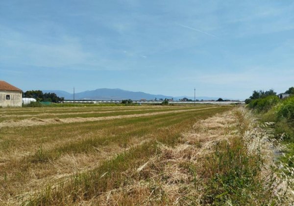 terreno agricolo in vendita ad Eboli in zona Campolongo