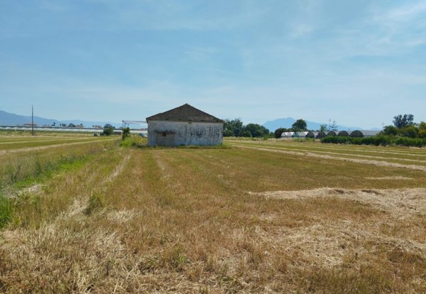terreno agricolo in vendita ad Eboli in zona Campolongo