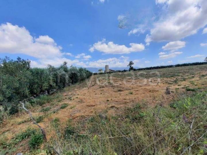 terreno agricolo in vendita ad Eboli in zona Sant'Andrea