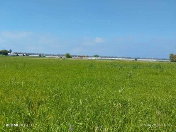 terreno agricolo in vendita ad Eboli