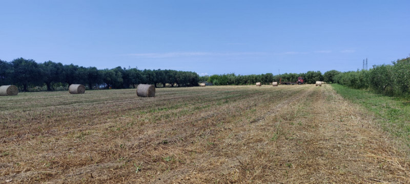 terreno edificabile in vendita ad Eboli in zona Corno d'Oro