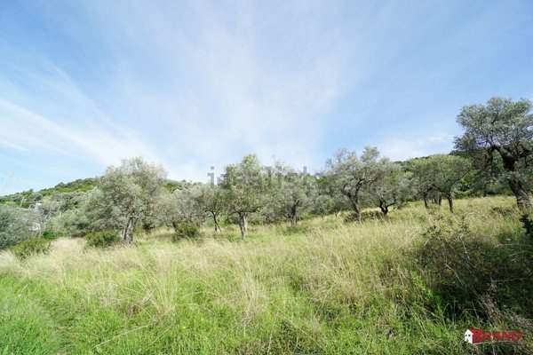 terreno in vendita ad Eboli