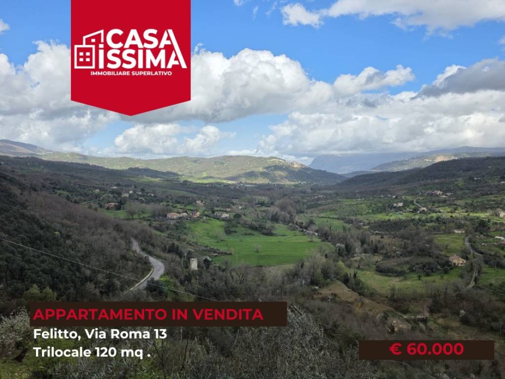 appartamento in vendita a Felitto