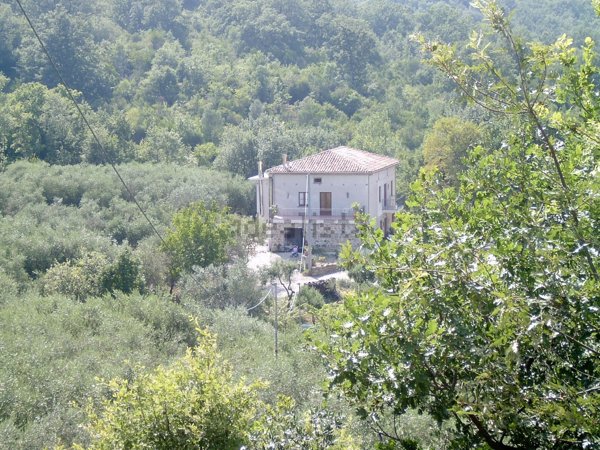 mansarda in vendita a Felitto