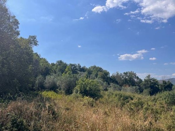 terreno agricolo in vendita a Felitto