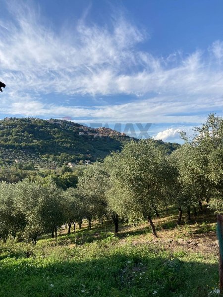 appartamento in vendita a Felitto