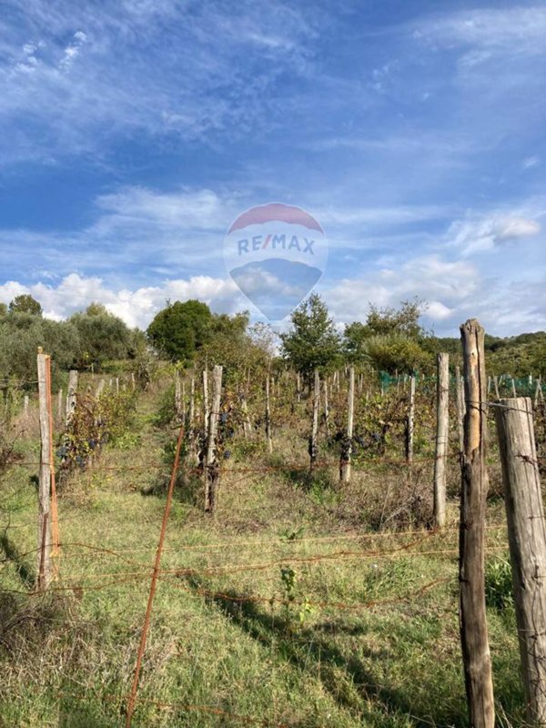 casa indipendente in vendita a Felitto