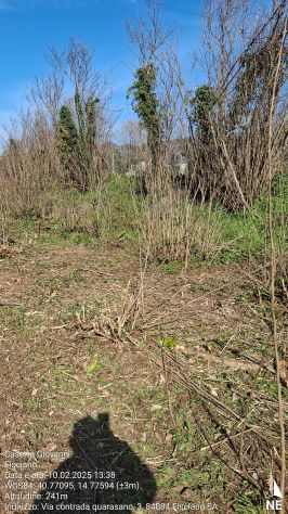 terreno agricolo in vendita a Fisciano