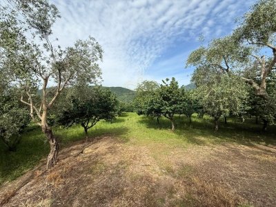 terreno agricolo in vendita a Fisciano