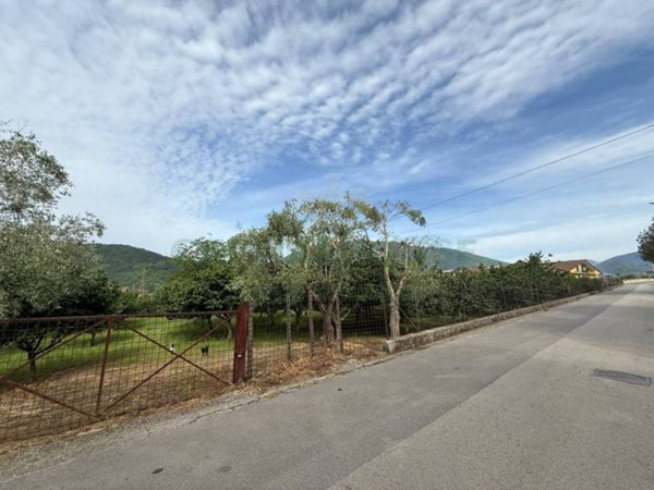 terreno agricolo in vendita a Fisciano