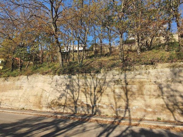 terreno agricolo in vendita a Fisciano in zona Pizzolano