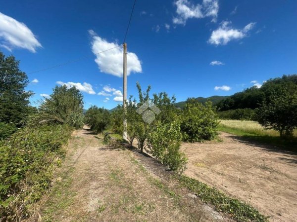 terreno agricolo in vendita a Fisciano