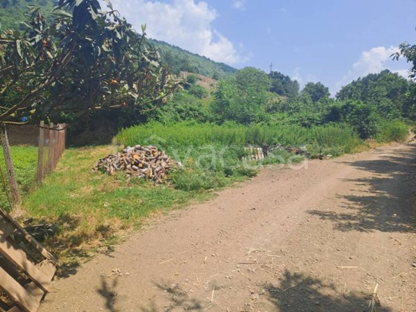 terreno agricolo in vendita a Fisciano